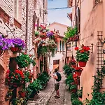 Bully Spello