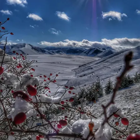 아파트 Bully 스펠로