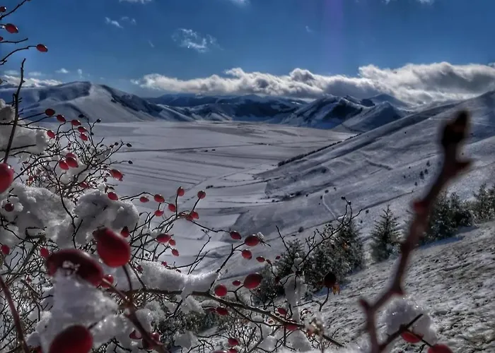 Apartment Bully Spello